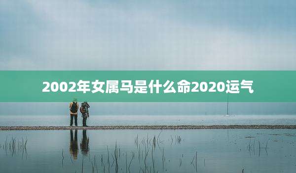 2002年女属马是什么命2020运气