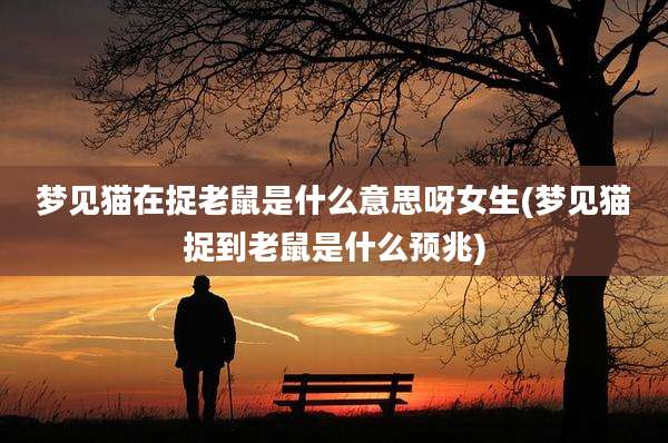 梦见猫在捉老鼠是什么意思呀女生(梦见猫捉到老鼠是什么预兆)
