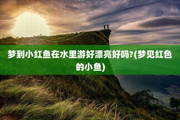 梦到小红鱼在水里游好漂亮好吗?(梦见红色的小鱼)