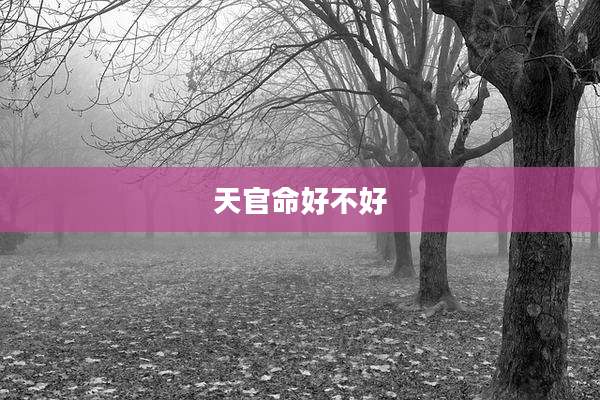 天官命好不好