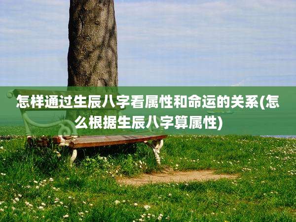 怎样通过生辰八字看属性和命运的关系(怎么根据生辰八字算属性)