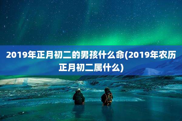 2019年正月初二的男孩什么命(2019年农历正月初二属什么)