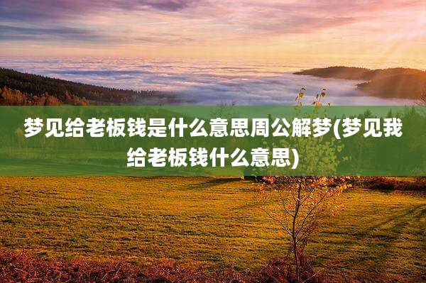 梦见给老板钱是什么意思周公解梦(梦见我给老板钱什么意思)