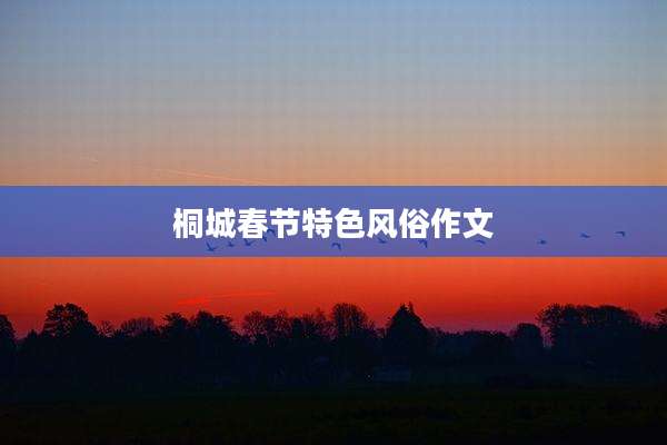 桐城春节特色风俗作文