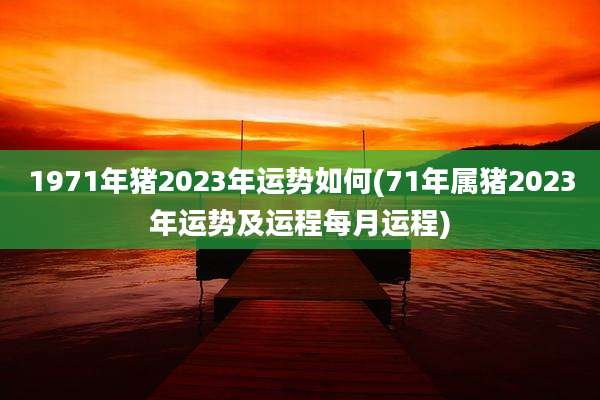 1971年猪2023年运势如何(71年属猪2023年运势及运程每月运程)