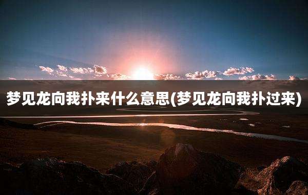 梦见龙向我扑来什么意思(梦见龙向我扑过来)