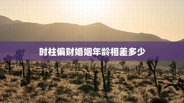 时柱偏财婚姻年龄相差多少