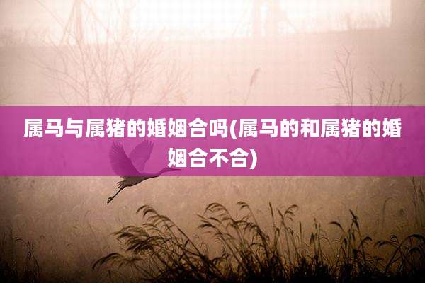 属马与属猪的婚姻合吗(属马的和属猪的婚姻合不合)