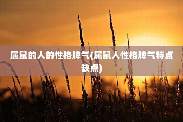 属鼠的人的性格脾气(属鼠人性格脾气特点缺点)