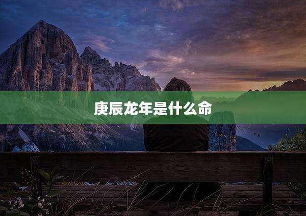 庚辰龙年是什么命