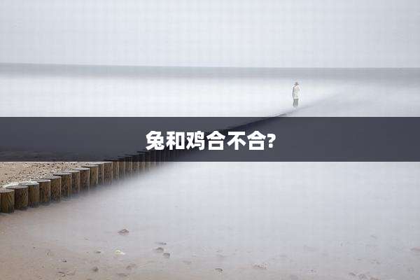 兔和鸡合不合?