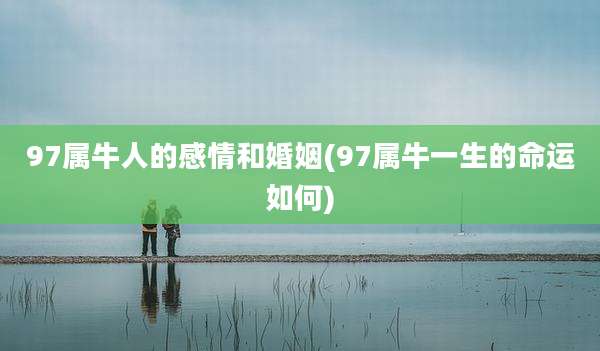 97属牛人的感情和婚姻(97属牛一生的命运如何)