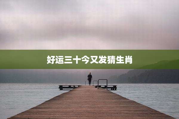 好运三十今又发猜生肖