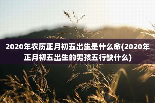 2020年农历正月初五出生是什么命(2020年正月初五出生的男孩五行缺什么)