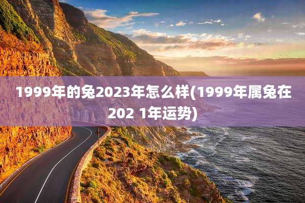 1999年的兔2023年怎么样(1999年属兔在202 1年运势)
