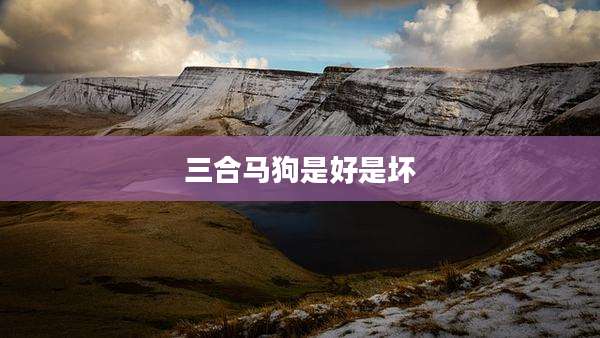 三合马狗是好是坏