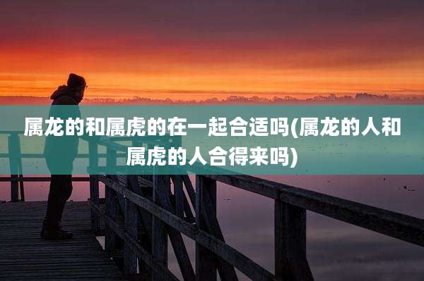 属龙的和属虎的在一起合适吗(属龙的人和属虎的人合得来吗)