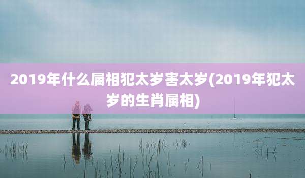 2019年什么属相犯太岁害太岁(2019年犯太岁的生肖属相)
