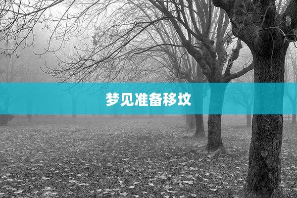 梦见准备移坟