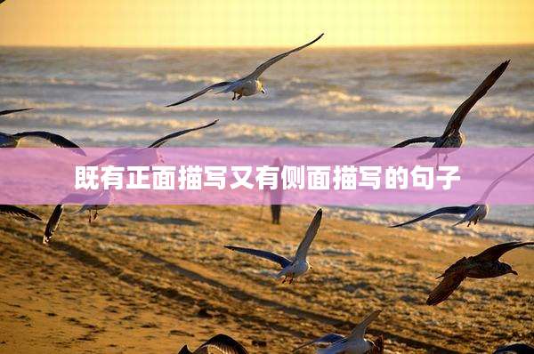 既有正面描写又有侧面描写的句子