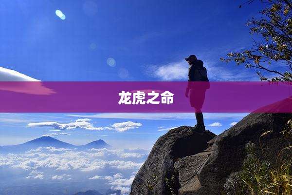 龙虎之命