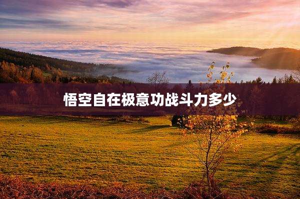 悟空自在极意功战斗力多少