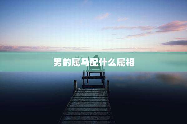 男的属马配什么属相