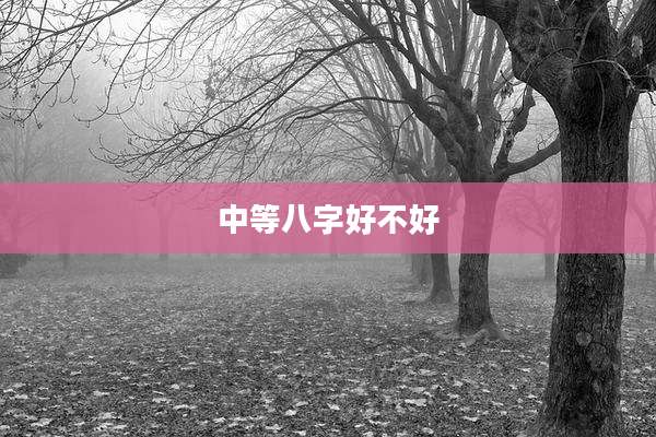 中等八字好不好