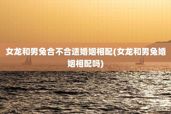女龙和男兔合不合适婚姻相配(女龙和男兔婚姻相配吗)