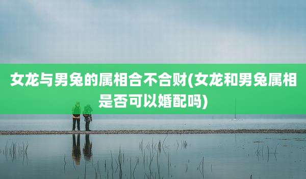 女龙与男兔的属相合不合财(女龙和男兔属相是否可以婚配吗)
