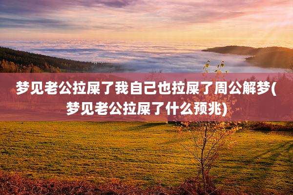 梦见老公拉屎了我自己也拉屎了周公解梦(梦见老公拉屎了什么预兆)