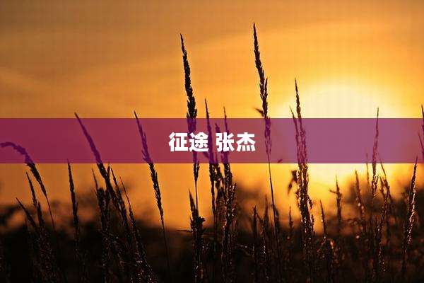 征途 张杰