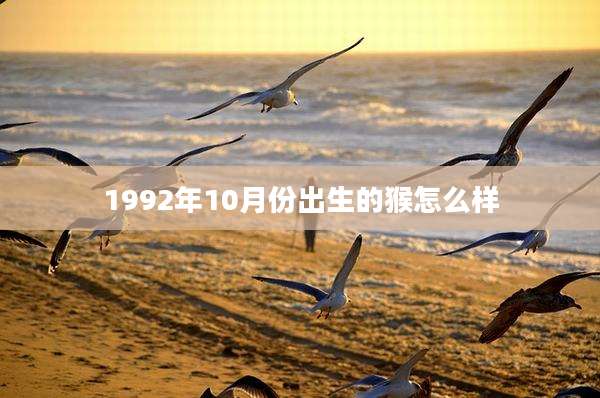 1992年10月份出生的猴怎么样