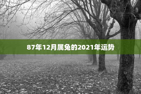 87年12月属兔的2021年运势