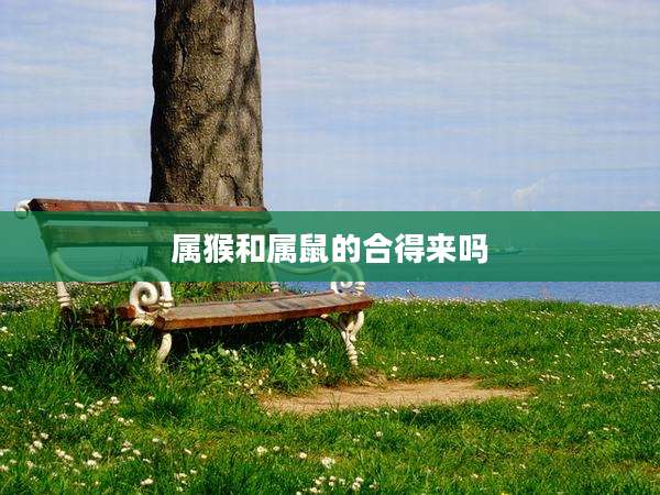 属猴和属鼠的合得来吗