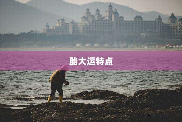 胎大运特点