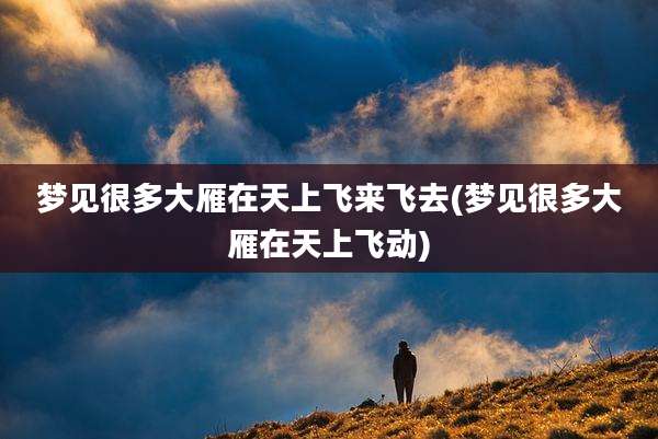 梦见很多大雁在天上飞来飞去(梦见很多大雁在天上飞动)