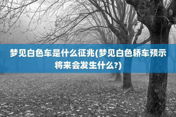 梦见白色车是什么征兆(梦见白色轿车预示将来会发生什么?)
