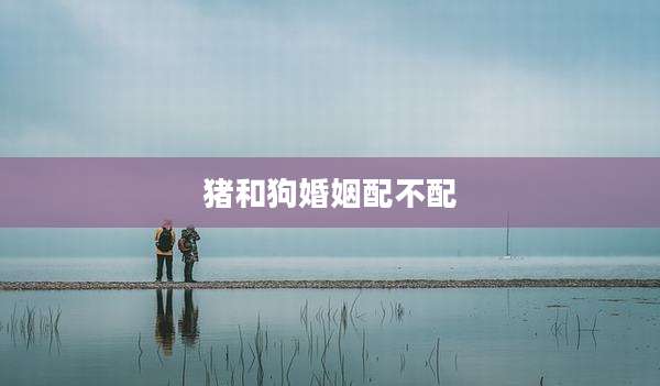 猪和狗婚姻配不配