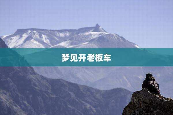 梦见开老板车