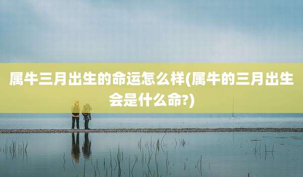属牛三月出生的命运怎么样(属牛的三月出生会是什么命?)
