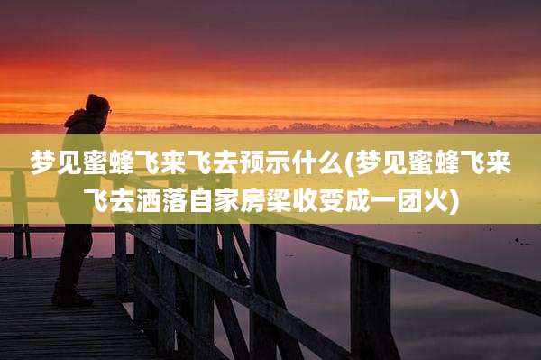 梦见蜜蜂飞来飞去预示什么(梦见蜜蜂飞来飞去洒落自家房梁收变成一团火)