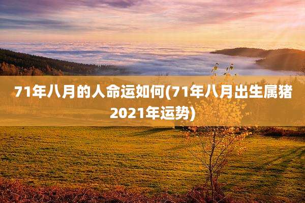71年八月的人命运如何(71年八月出生属猪2021年运势)