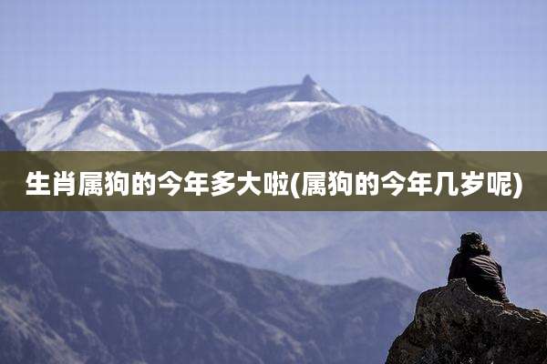 生肖属狗的今年多大啦(属狗的今年几岁呢)