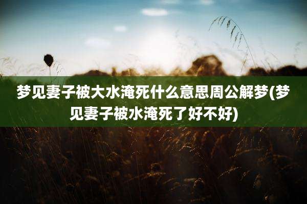 梦见妻子被大水淹死什么意思周公解梦(梦见妻子被水淹死了好不好)