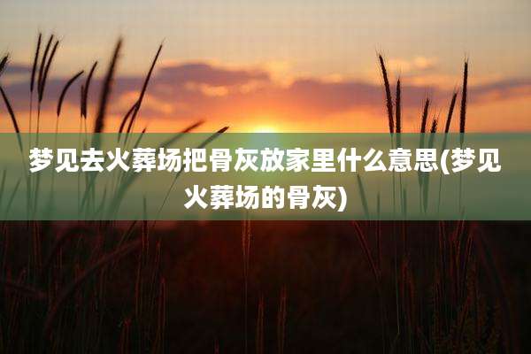 梦见去火葬场把骨灰放家里什么意思(梦见火葬场的骨灰)