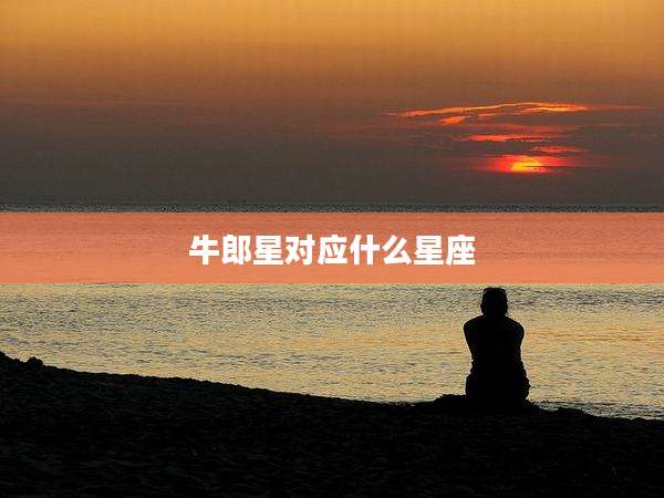 牛郎星对应什么星座