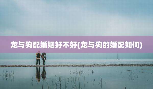 龙与狗配婚姻好不好(龙与狗的婚配如何)
