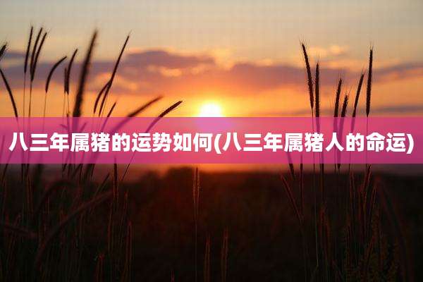 八三年属猪的运势如何(八三年属猪人的命运)