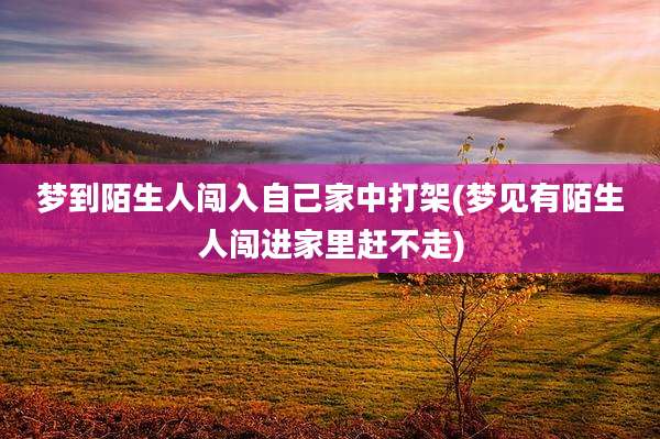 梦到陌生人闯入自己家中打架(梦见有陌生人闯进家里赶不走)